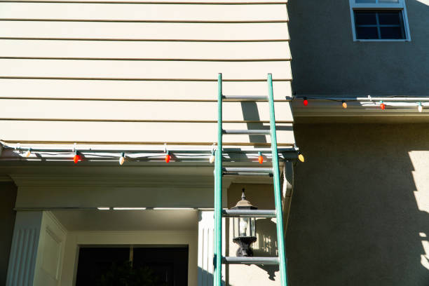 Best Insulated Siding Installation  in Moundville, AL