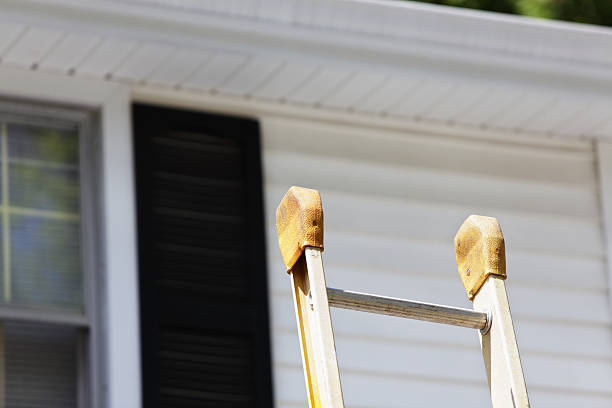 Best Fascia and Soffit Installation  in Moundville, AL